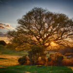 StuartKeith_Sunset Over Boltons Bench_Pri_1